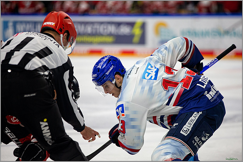 PENNY DEL; Koelner Haie- Adler Mannheim; Koeln, 04.11.2022